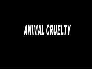 ANIMAL CRUELTY 