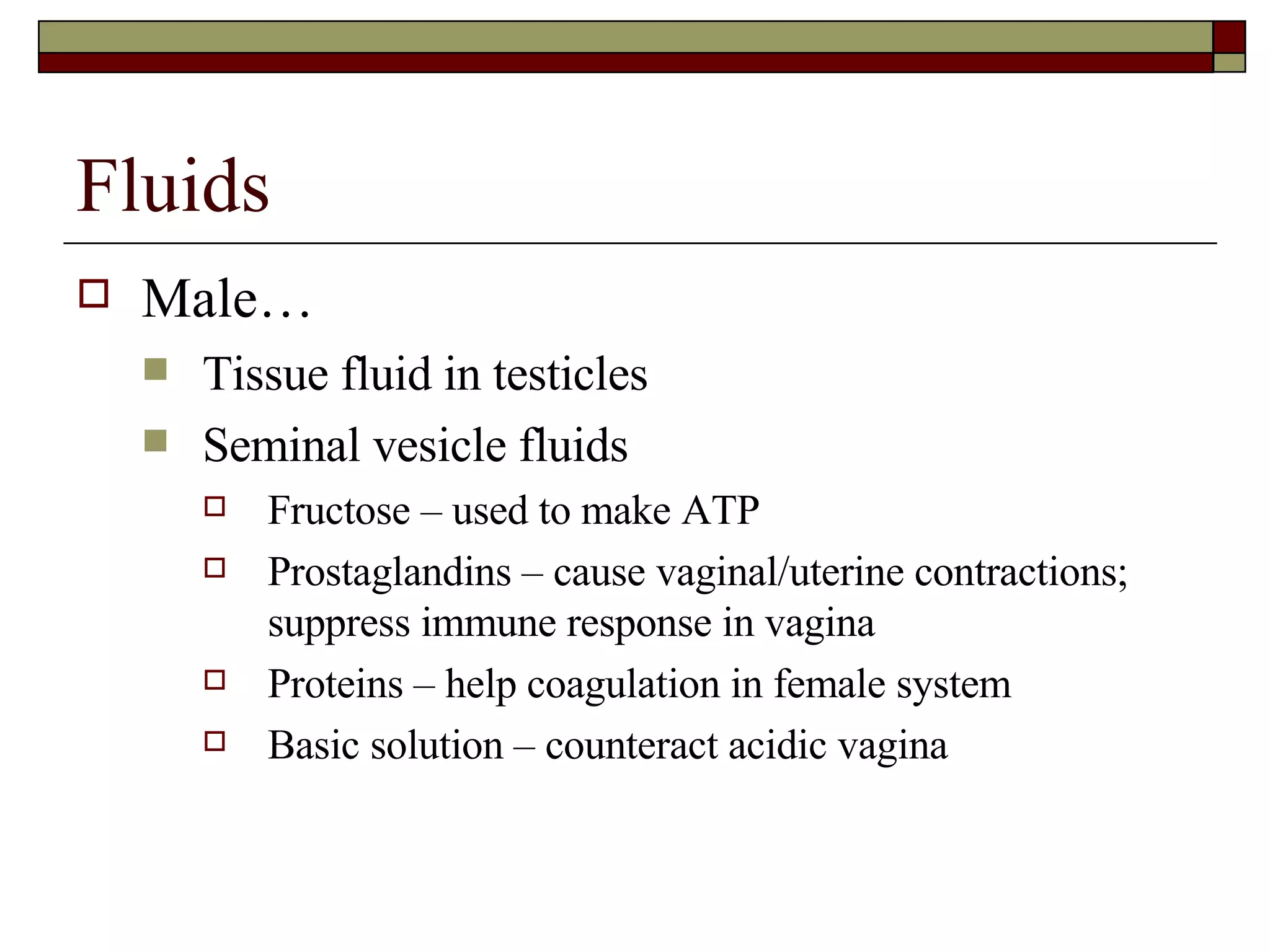 Fluids Male… Tissue fluid in testicles Seminal vesicle fluids Fructose – used to make ATP Prostaglandins – cause vaginal/uterine contractions; suppress immune response in vagina Proteins – help coagulation in female system Basic solution – counteract acidic vagina 