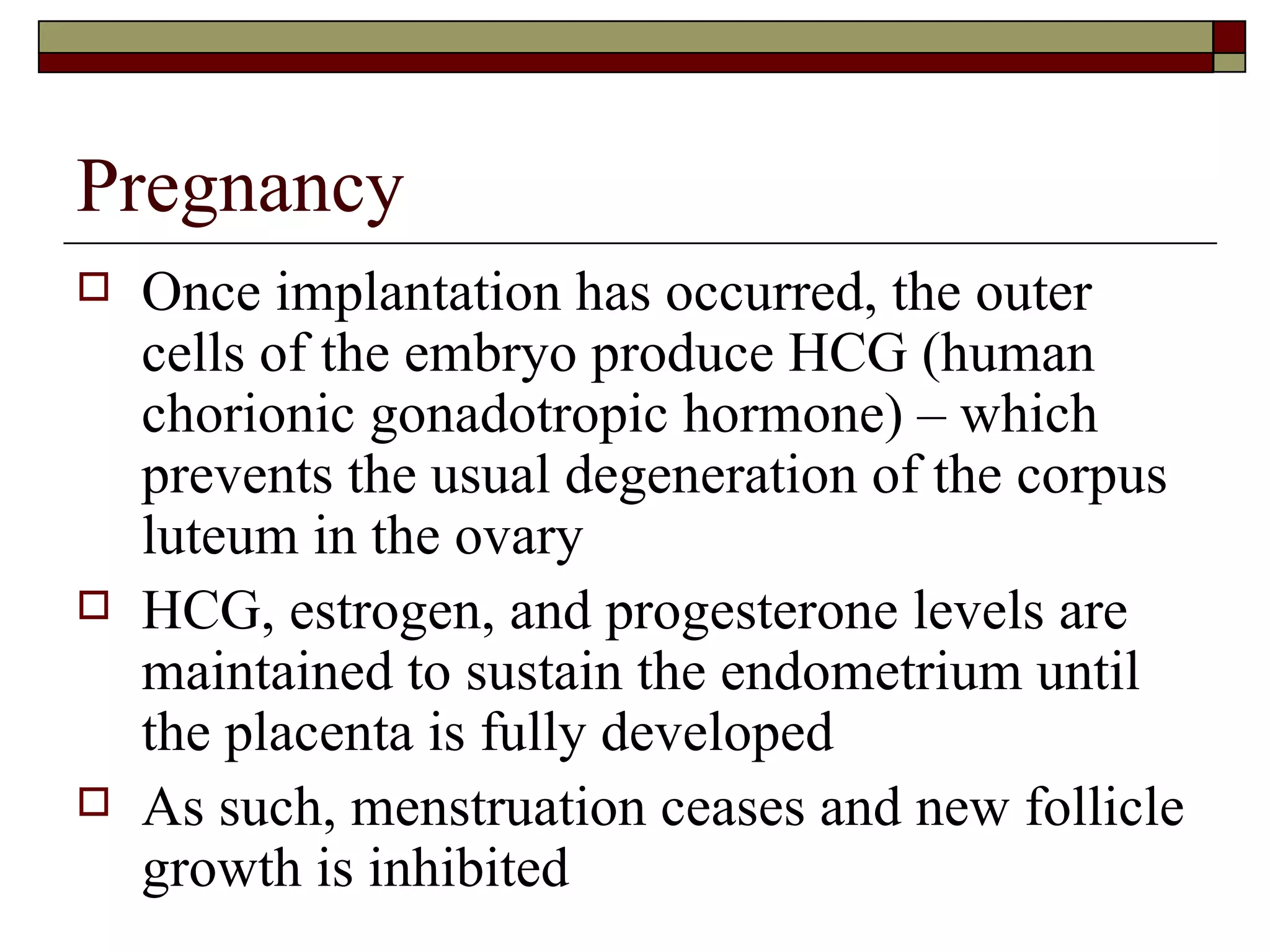 Pregnancy Once implantation has occurred, the outer cells of the embryo produce HCG (human chorionic gonadotropic hormone) – which prevents the usual degeneration of the corpus luteum in the ovary HCG, estrogen, and progesterone levels are maintained to sustain the endometrium until the placenta is fully developed As such, menstruation ceases and new follicle growth is inhibited 