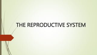THE REPRODUCTIVE SYSTEM
 
