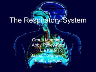 The Respiratory System Group Members: Abby Ridley-Kerr Lia Kato Sasha Yovanovich Shelby LaRosa 