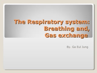 The Respiratory system: Breathing and,  Gas exchange  By. Ga Eul Jung  