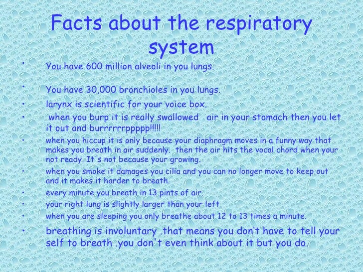 The Respiratory System