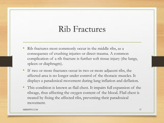 Two Adject Ribs The-Ribs.pptx about the ribs of humen body | PPTX