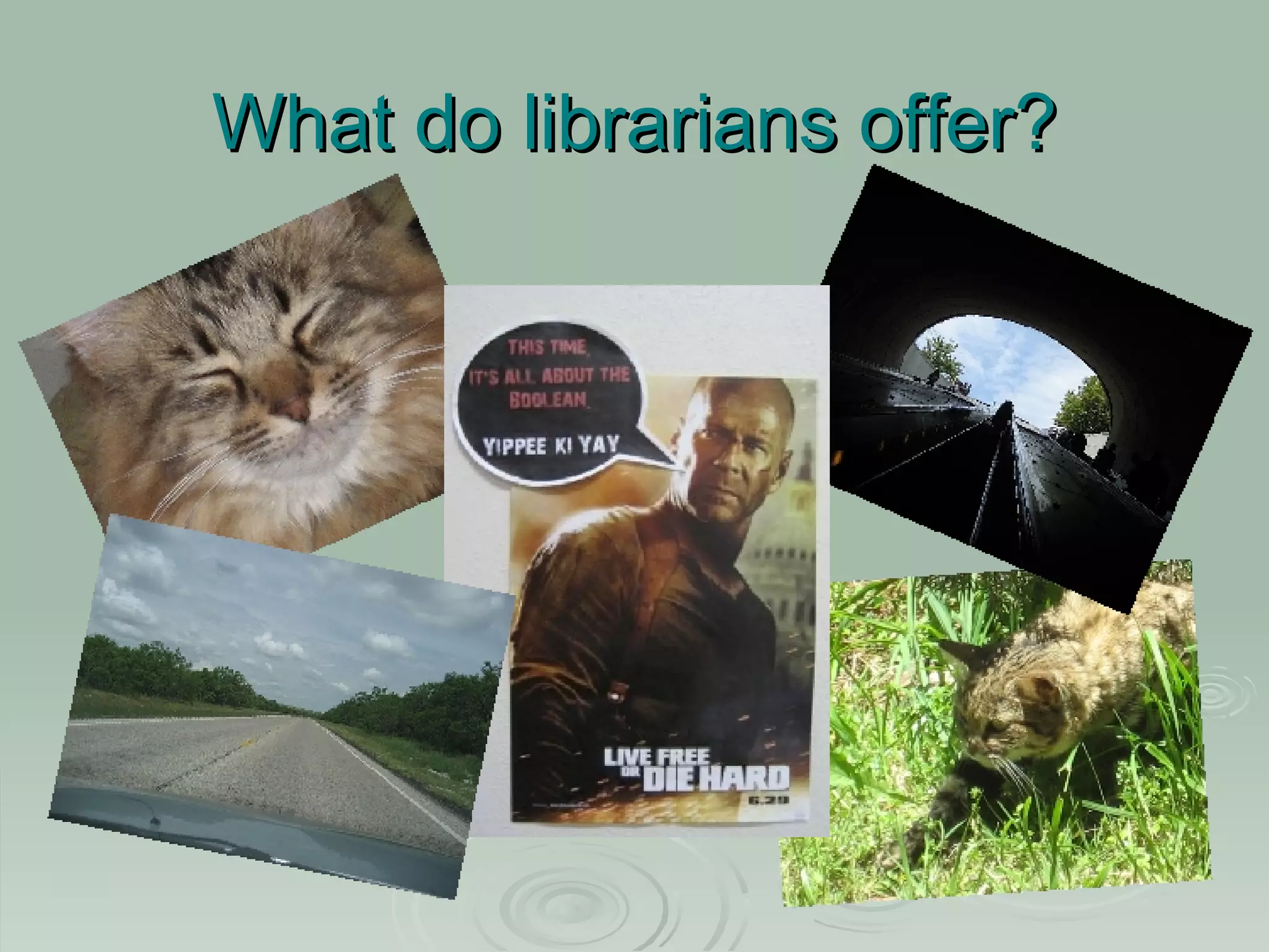 What do librarians offer?