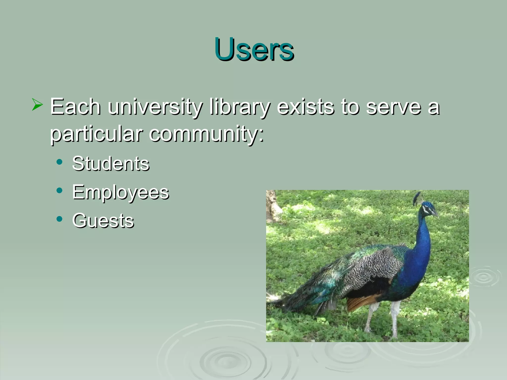 Users Each university library exists to serve a particular community: Students Employees Guests
