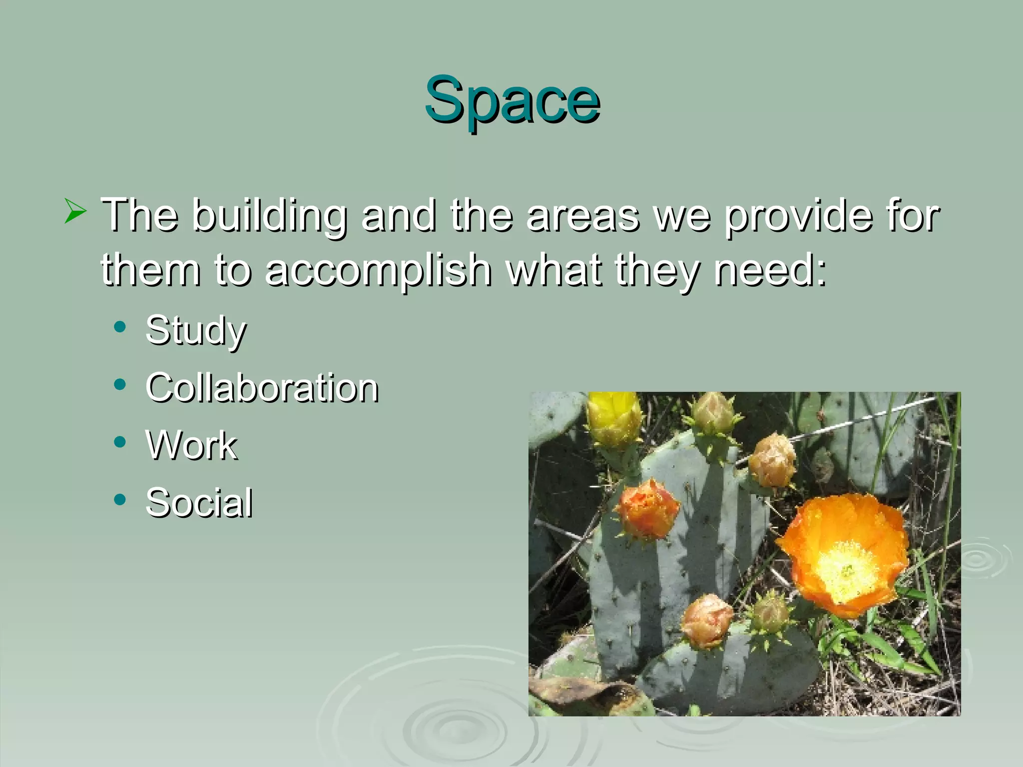 Space The building and the areas we provide for them to accomplish what they need: Study Collaboration Work Social