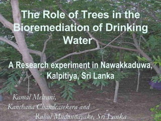 The Role of Trees in the Bioremediation of Drinking Water  A Research experiment in Nawakkaduwa, Kalpitiya, Sri Lanka Kamal Melvani,  Kanchana Chandrasekera and  Rahul Mudannayake, Sri Lanka 