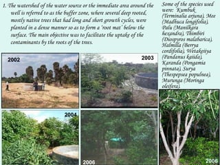 The Role Of Trees in the Bioremediation of Drinking Water | PPT
