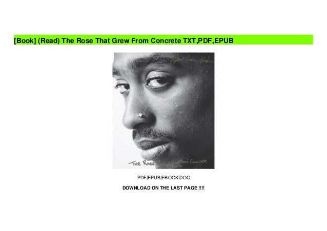 concrete rose novel concrete rose novel