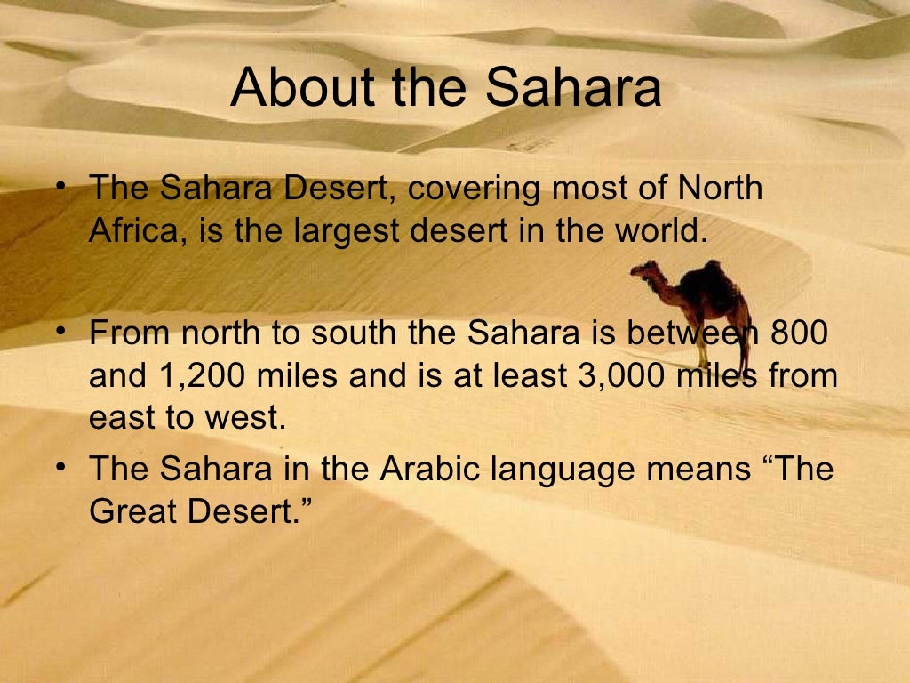 The Sahara Desert