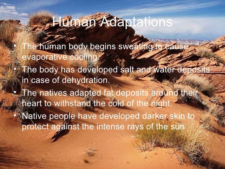 write an essay on human adaptation to the desert environment