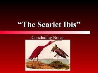 “ The Scarlet Ibis” Concluding Notes 
