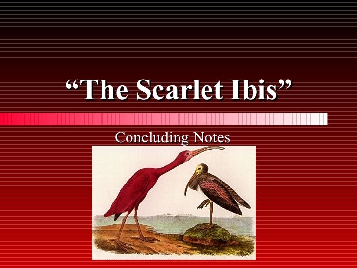 Ambition In The Scarlet Ibis