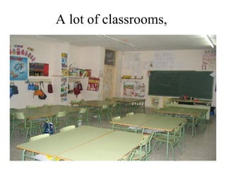 A lot of classrooms,   