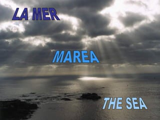 LA MER THE SEA MAREA 