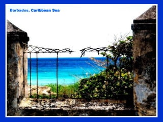 Barbados,  Caribbean Sea 