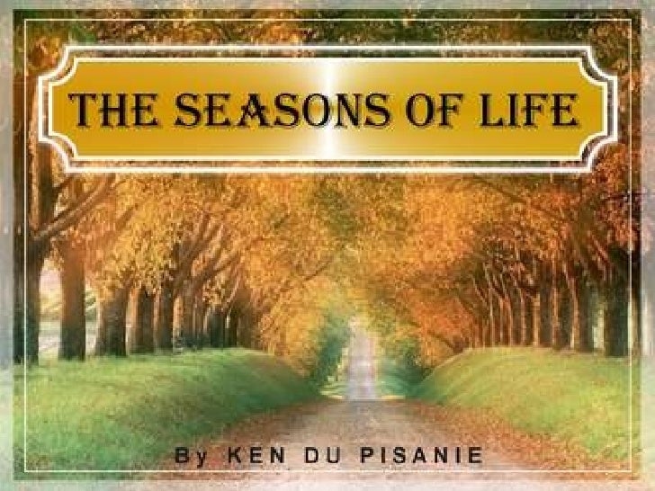 story of seasons a wonderful life guide