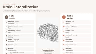 Understanding the Self: Cognitive Constructs, Identity, and ...