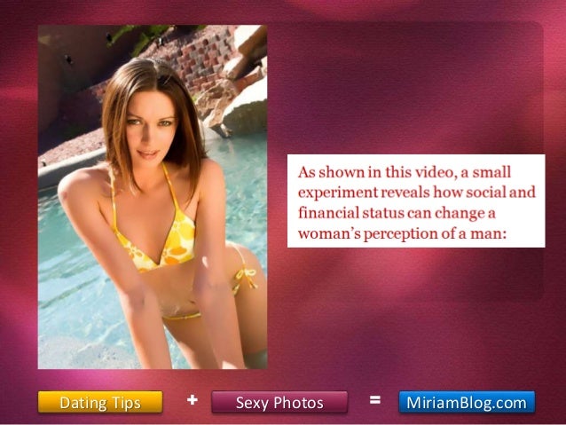 gay bear web cam.jpg