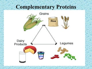 The Six Nutrients - What and How | PPTX