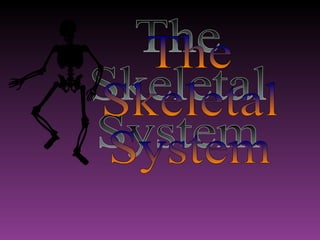 The Skeletal  System 