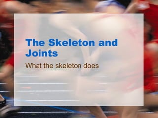 The Skeleton and Joints What the skeleton does 