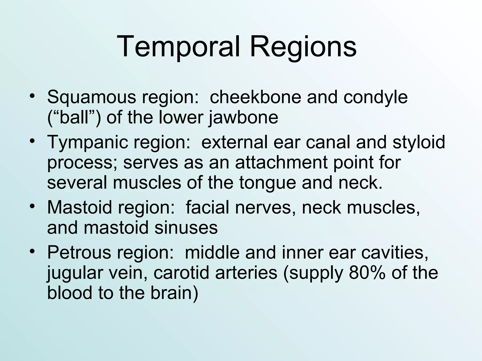 Temporal Regions  Squamous region:  cheekbone and condyle (“ball”) of the lower jawbone Tympanic region:  external ear canal and styloid process; serves as an attachment point for several muscles of the tongue and neck. Mastoid region:  facial nerves, neck muscles, and mastoid sinuses Petrous region:  middle and inner ear cavities, jugular vein, carotid arteries (supply 80% of the blood to the brain) 