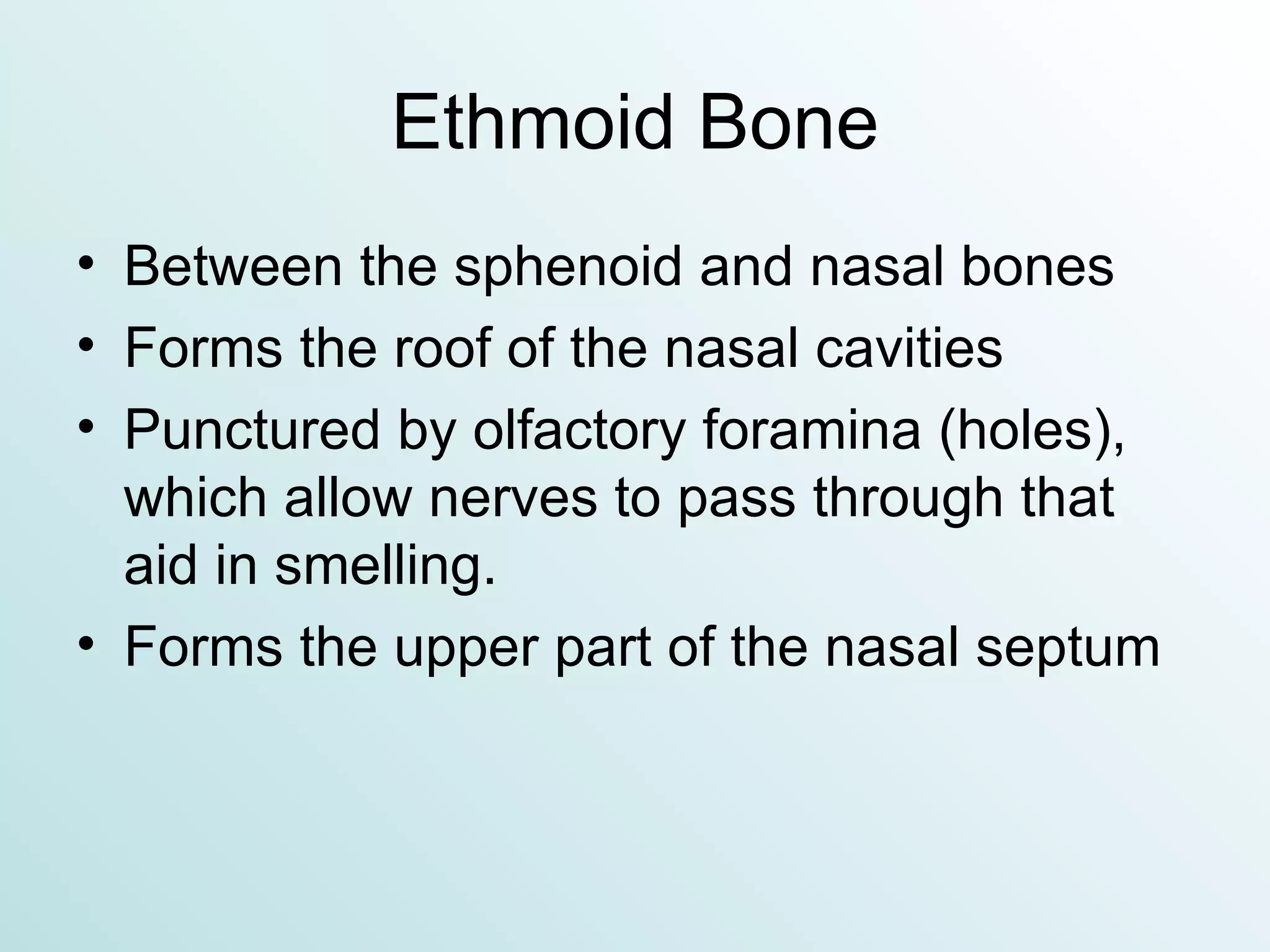 Ethmoid Bone Between the sphenoid and nasal bones Forms the roof of the nasal cavities Punctured by olfactory foramina (holes), which allow nerves to pass through that aid in smelling. Forms the upper part of the nasal septum 