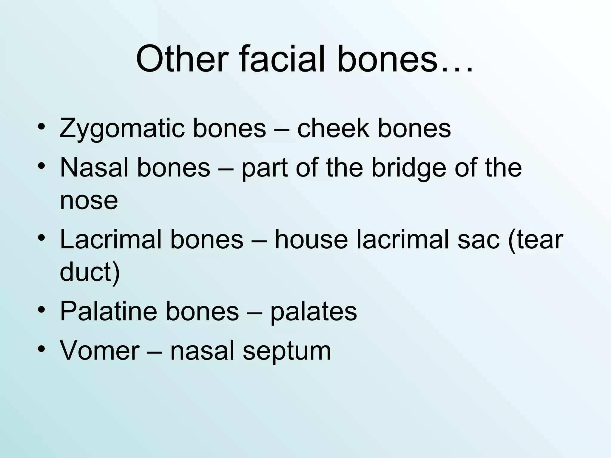 Other facial bones… Zygomatic bones – cheek bones Nasal bones – part of the bridge of the nose Lacrimal bones – house lacrimal sac (tear duct) Palatine bones – palates Vomer – nasal septum 