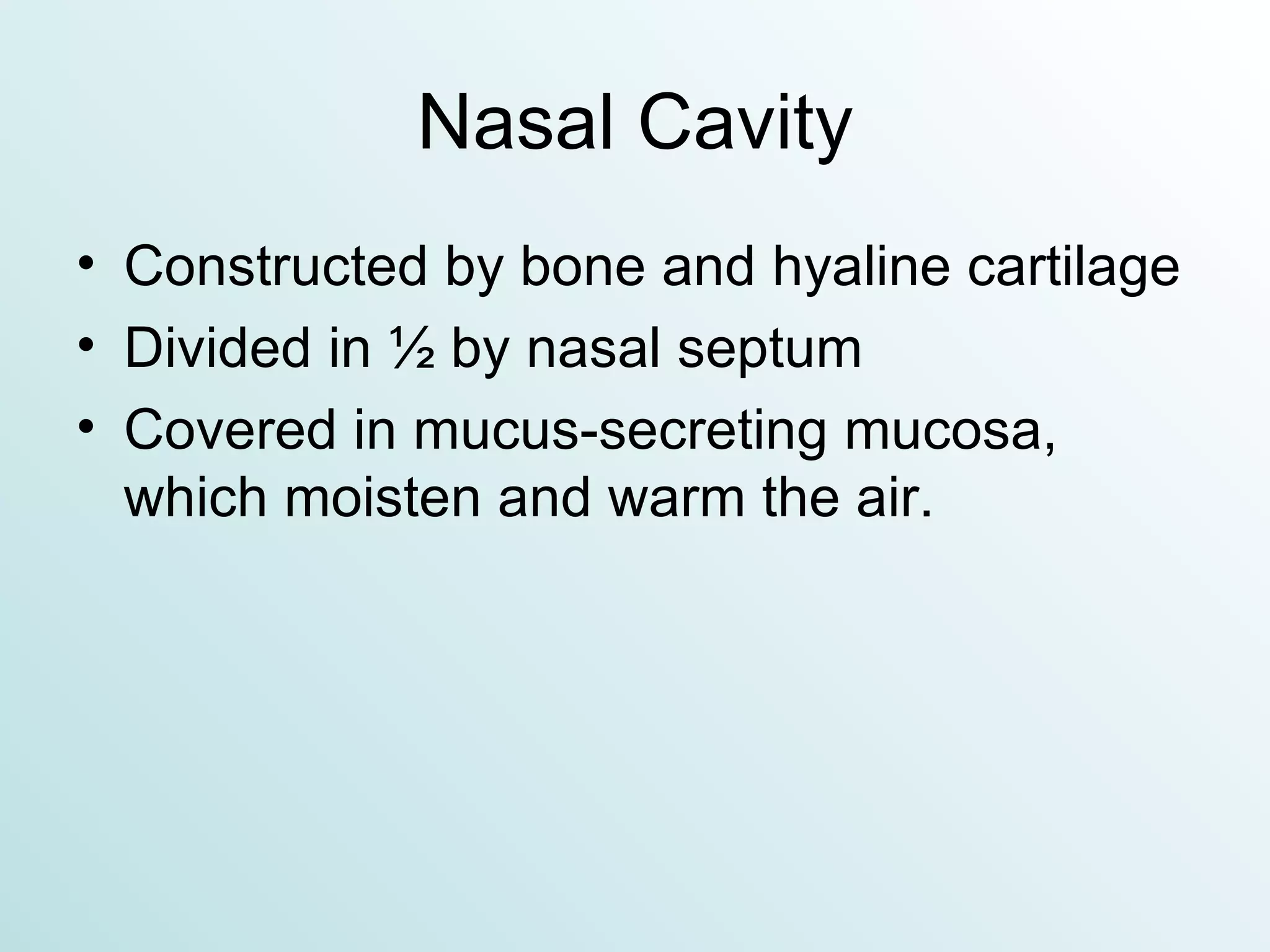 Nasal Cavity Constructed by bone and hyaline cartilage Divided in ½ by nasal septum Covered in mucus-secreting mucosa, which moisten and warm the air. 