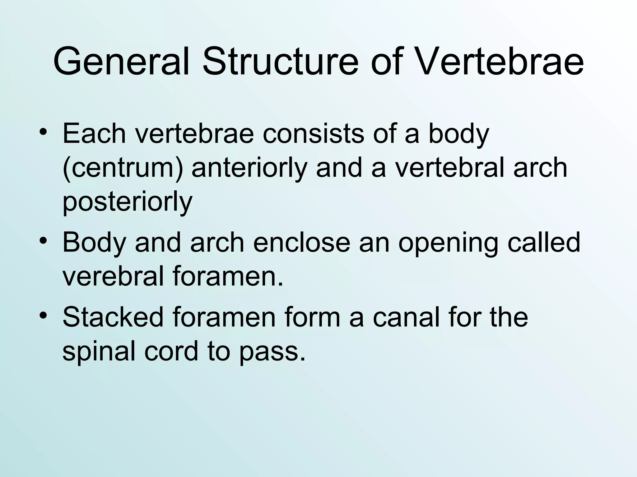 General Structure of Vertebrae Each vertebrae consists of a body (centrum) anteriorly and a vertebral arch posteriorly Body and arch enclose an opening called verebral foramen. Stacked foramen form a canal for the spinal cord to pass. 