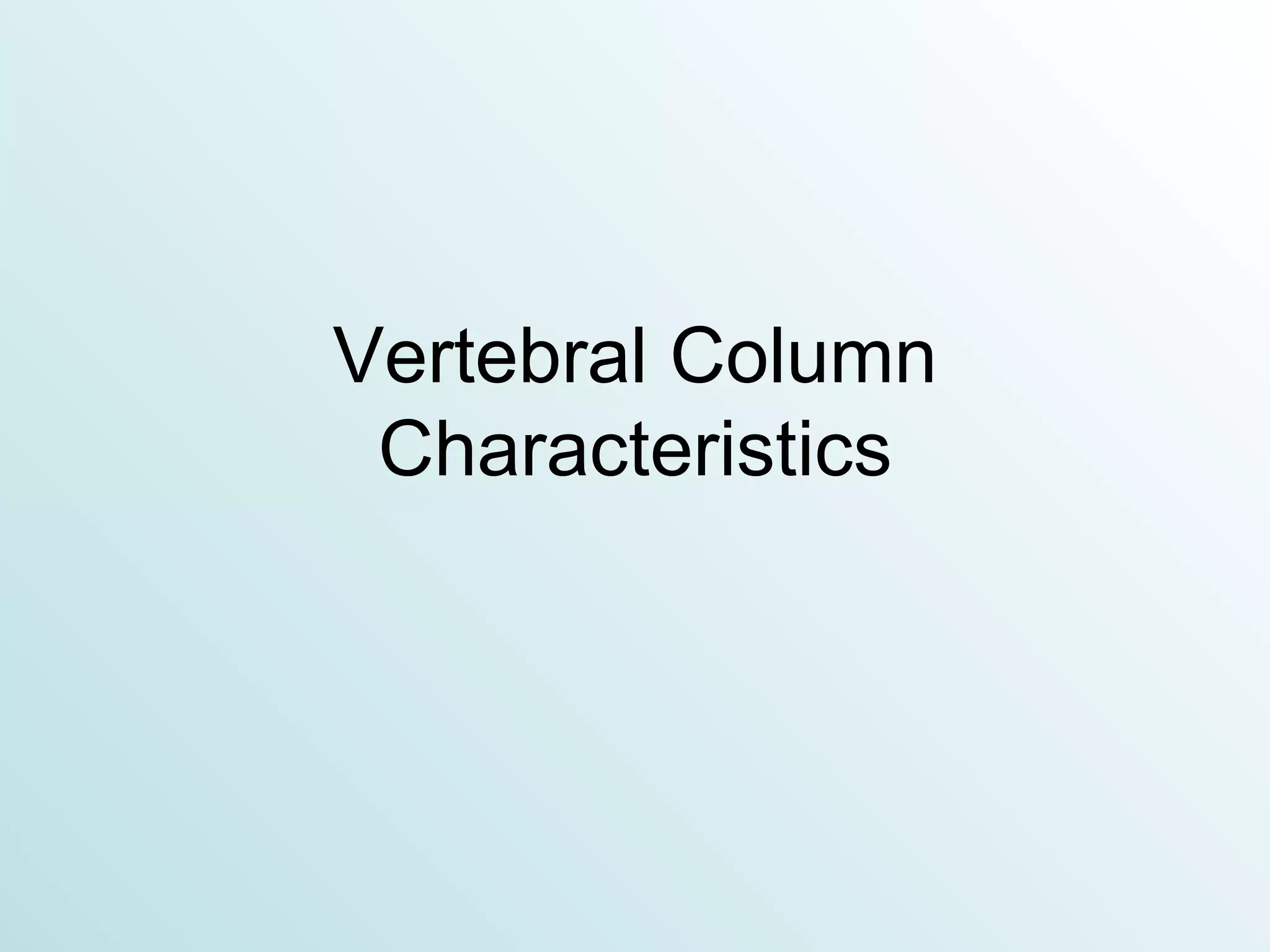Vertebral Column Characteristics 