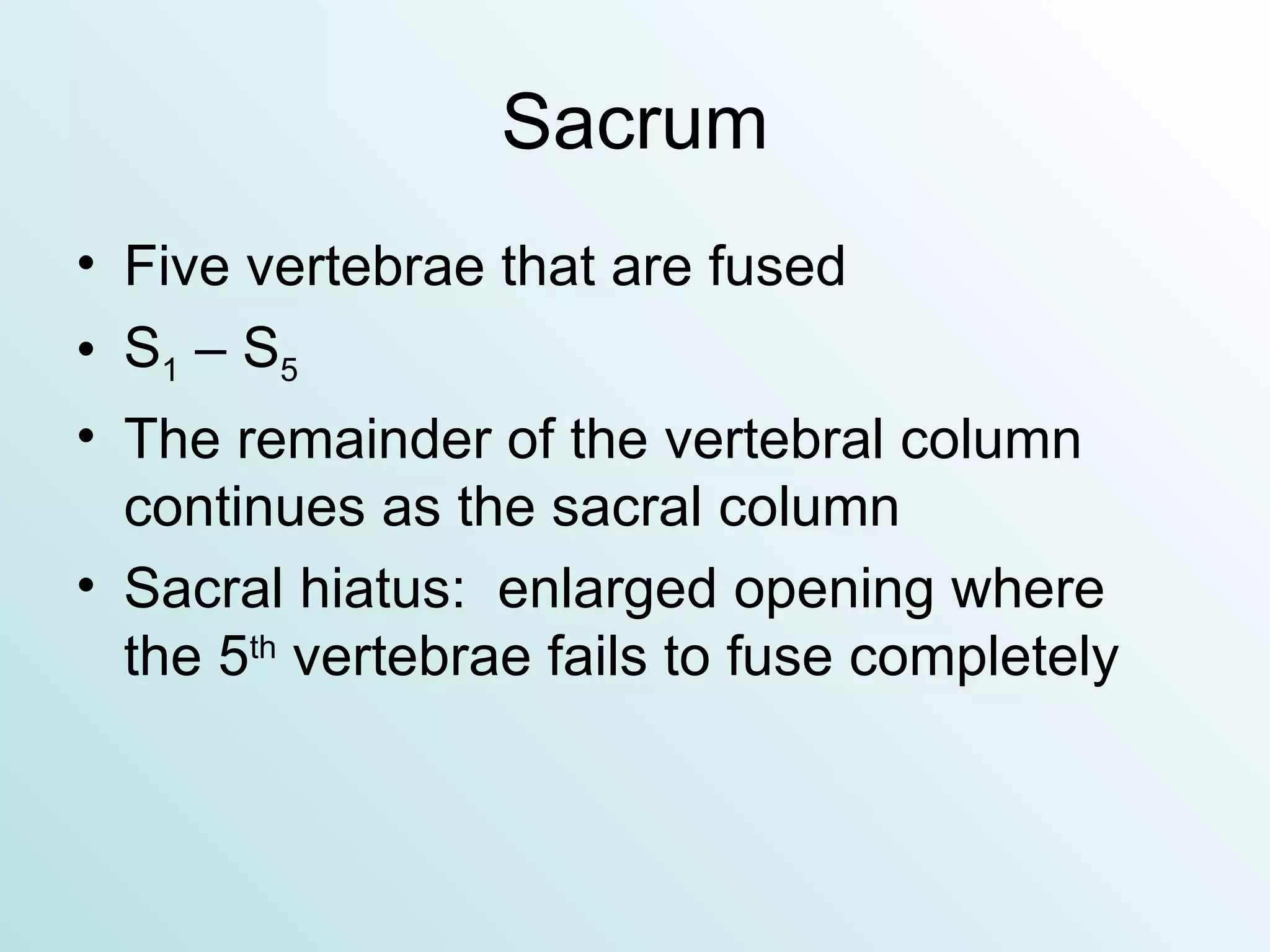 Sacrum Five vertebrae that are fused S 1  – S 5 The remainder of the vertebral column continues as the sacral column Sacral hiatus:  enlarged opening where the 5 th  vertebrae fails to fuse completely 