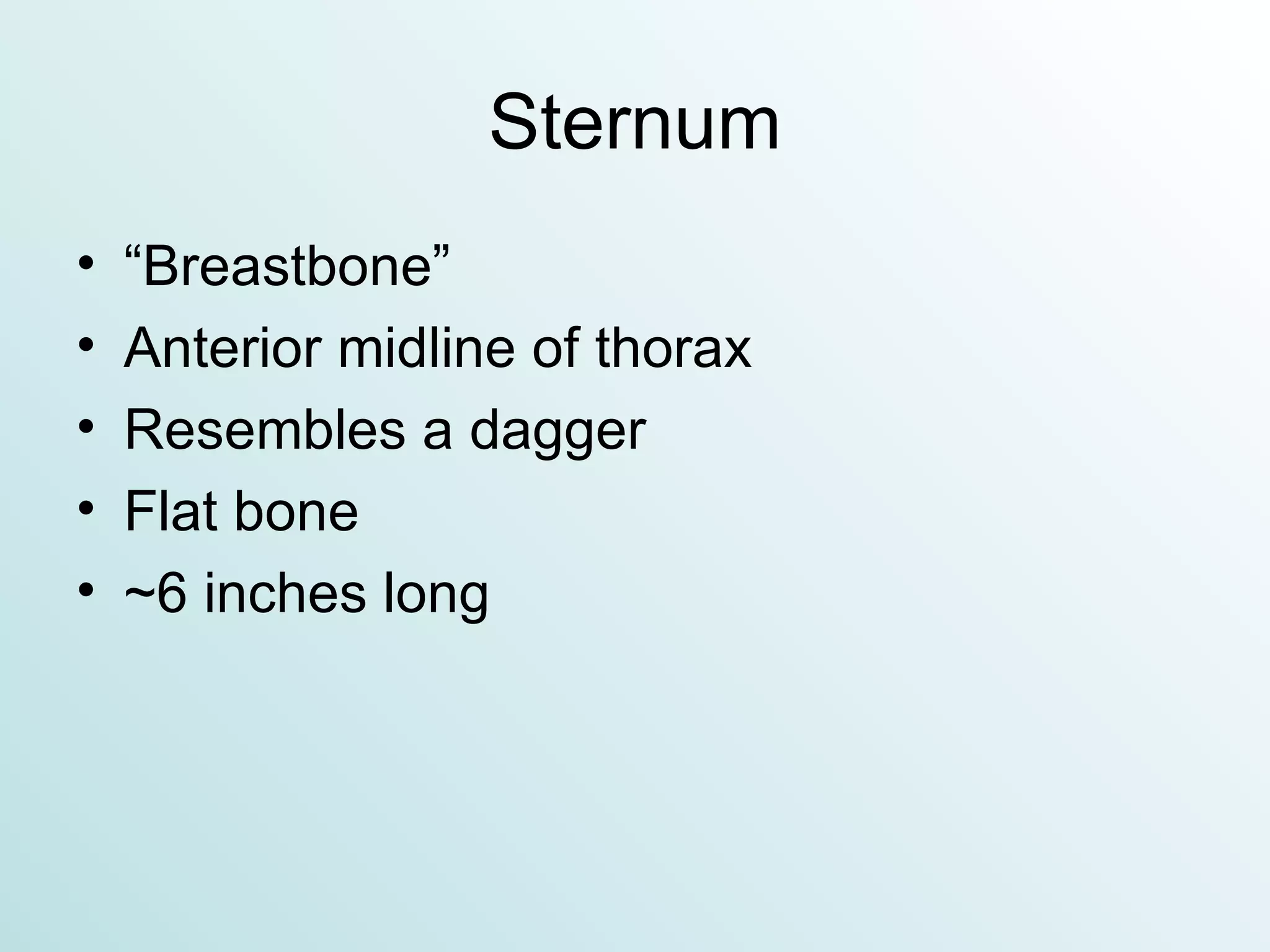 Sternum “Breastbone” Anterior midline of thorax Resembles a dagger Flat bone ~6 inches long 
