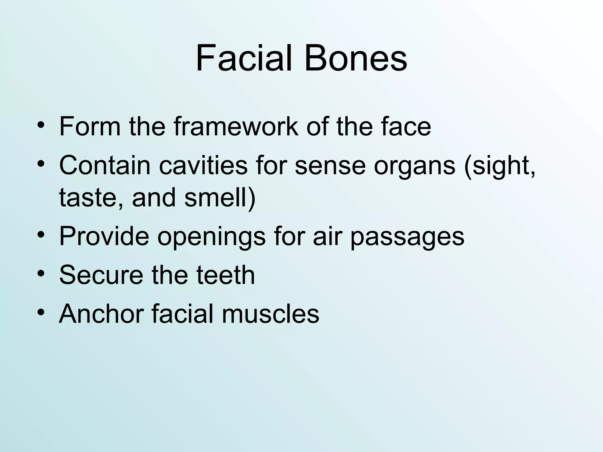 Facial Bones Form the framework of the face Contain cavities for sense organs (sight, taste, and smell) Provide openings for air passages Secure the teeth Anchor facial muscles 