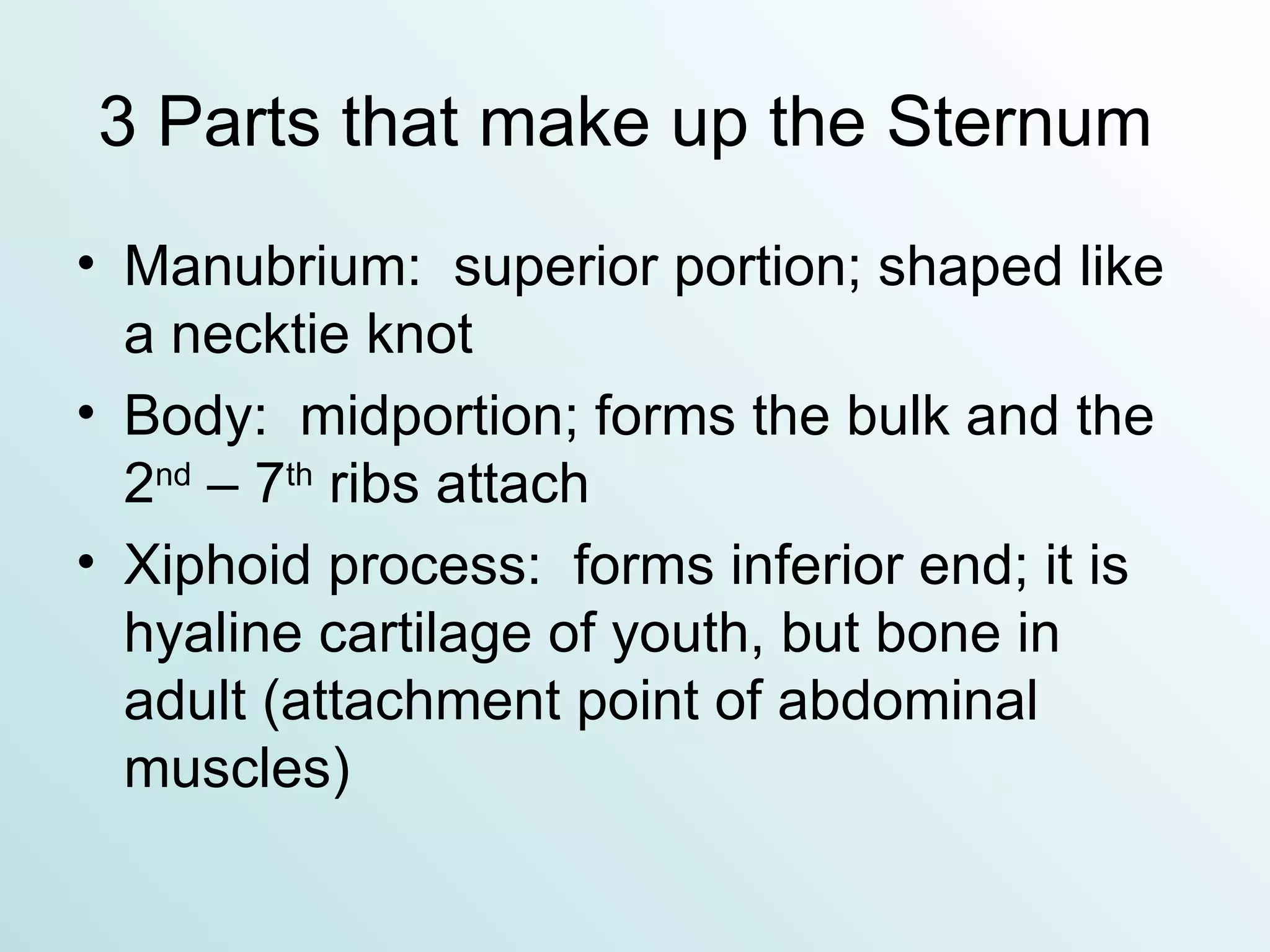 3 Parts that make up the Sternum  Manubrium:  superior portion; shaped like a necktie knot Body:  midportion; forms the bulk and the 2 nd  – 7 th  ribs attach Xiphoid process:  forms inferior end; it is hyaline cartilage of youth, but bone in adult (attachment point of abdominal muscles) 
