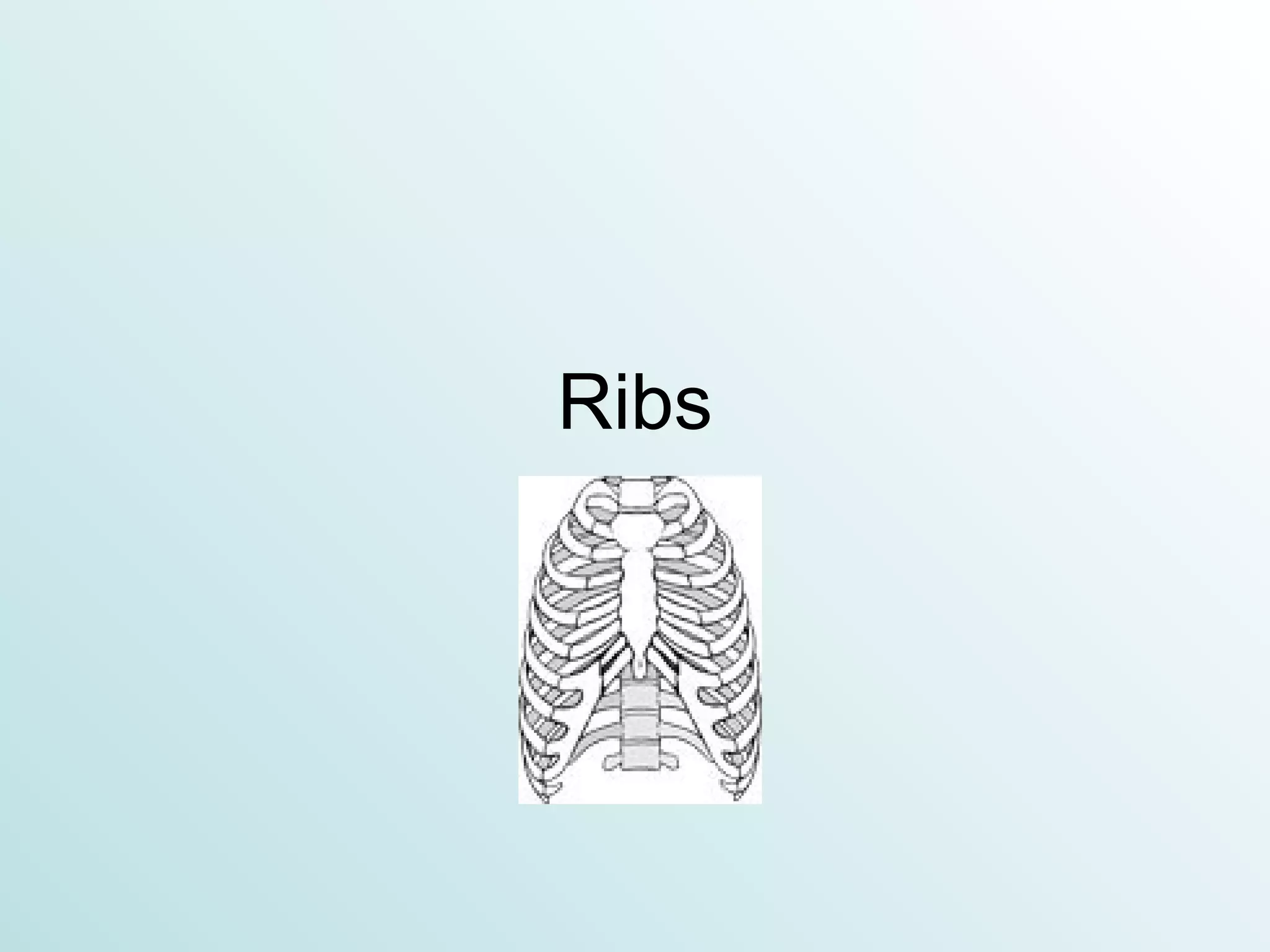 Ribs 