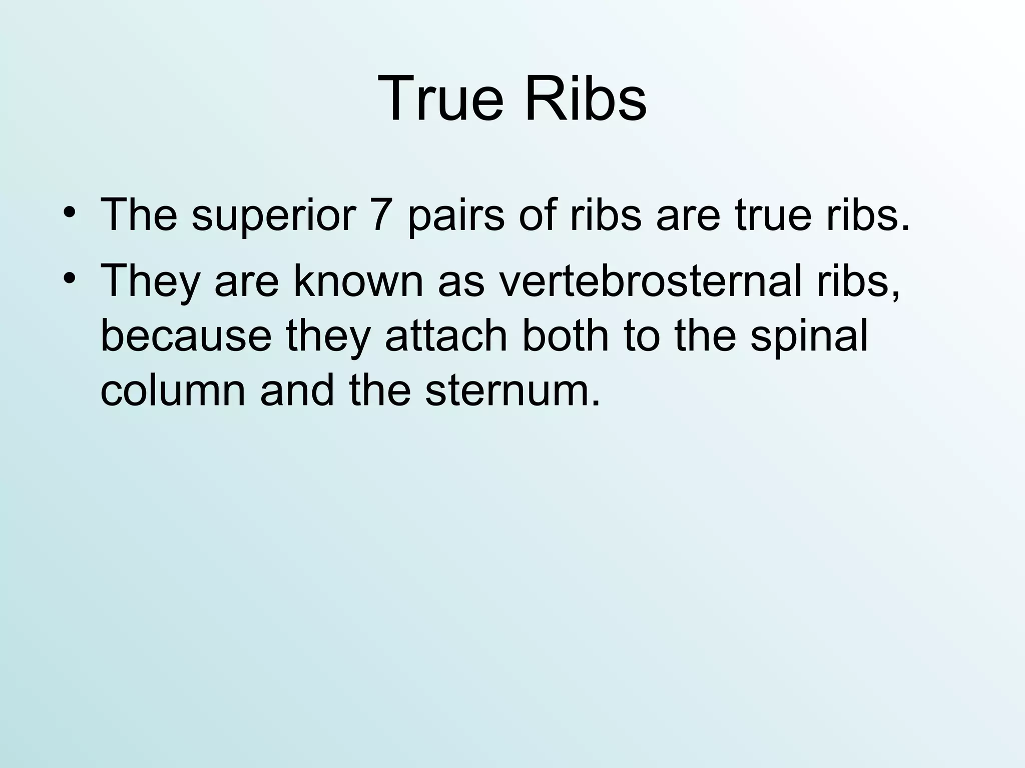 True Ribs The superior 7 pairs of ribs are true ribs. They are known as vertebrosternal ribs, because they attach both to the spinal column and the sternum. 