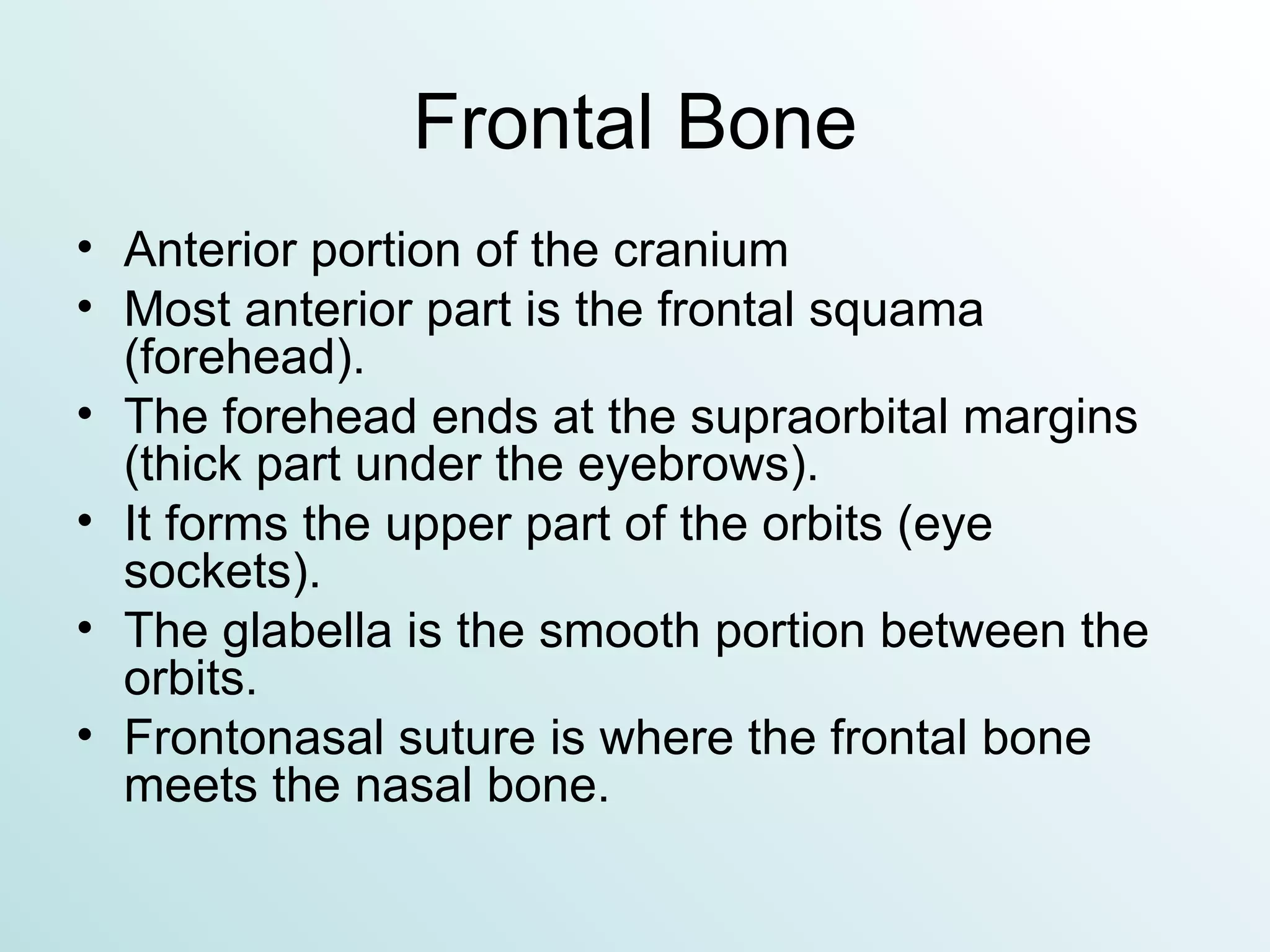 Frontal Bone Anterior portion of the cranium Most anterior part is the frontal squama (forehead). The forehead ends at the supraorbital margins (thick part under the eyebrows). It forms the upper part of the orbits (eye sockets). The glabella is the smooth portion between the orbits. Frontonasal suture is where the frontal bone meets the nasal bone. 