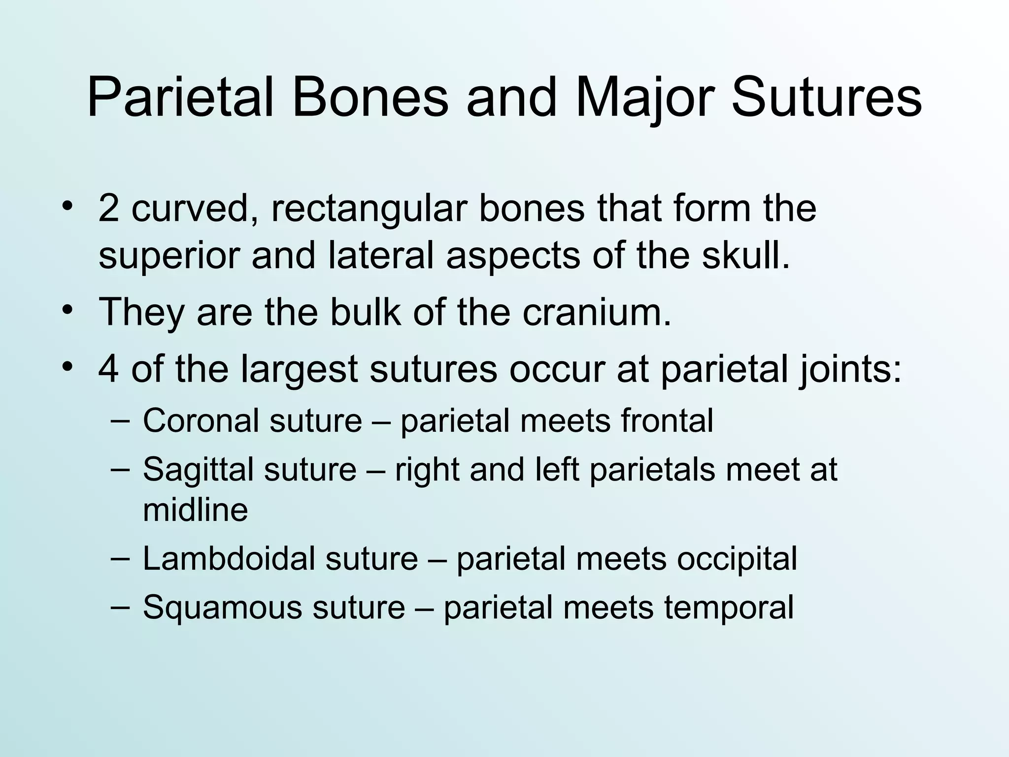 Parietal Bones and Major Sutures 2 curved, rectangular bones that form the superior and lateral aspects of the skull. They are the bulk of the cranium. 4 of the largest sutures occur at parietal joints: Coronal suture – parietal meets frontal  Sagittal suture – right and left parietals meet at midline Lambdoidal suture – parietal meets occipital Squamous suture – parietal meets temporal 