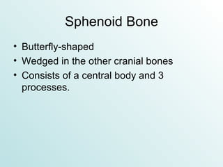 Sphenoid Bone Butterfly-shaped Wedged in the other cranial bones Consists of a central body and 3 processes. 
