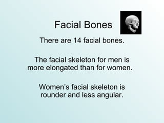 Facial Bones There are 14 facial bones. The facial skeleton for men is more elongated than for women.  Women’s facial skeleton is rounder and less angular. 