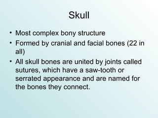 Skull Most complex bony structure Formed by cranial and facial bones (22 in all) All skull bones are united by joints called sutures, which have a saw-tooth or serrated appearance and are named for the bones they connect. 