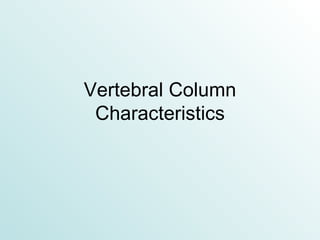 Vertebral Column Characteristics 