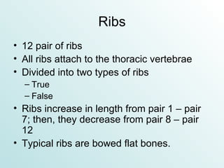 Ribs 12 pair of ribs All ribs attach to the thoracic vertebrae Divided into two types of ribs True False Ribs increase in length from pair 1 – pair 7; then, they decrease from pair 8 – pair 12 Typical ribs are bowed flat bones. 