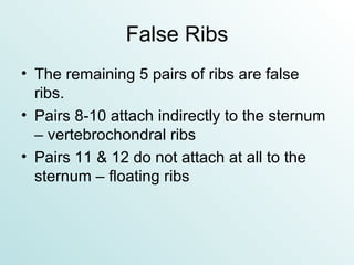False Ribs The remaining 5 pairs of ribs are false ribs. Pairs 8-10 attach indirectly to the sternum – vertebrochondral ribs Pairs 11 & 12 do not attach at all to the sternum – floating ribs 