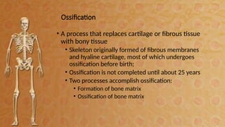 Sification Process Skeletal System with Description and explanation | PPTX