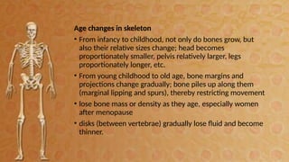 Skeletal System with Description and explanation | PPTX