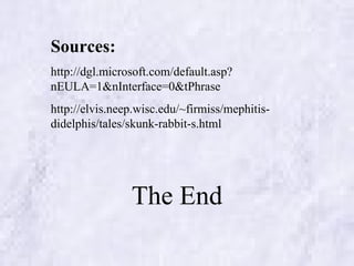 The Skunk and the Rabbit | PPT